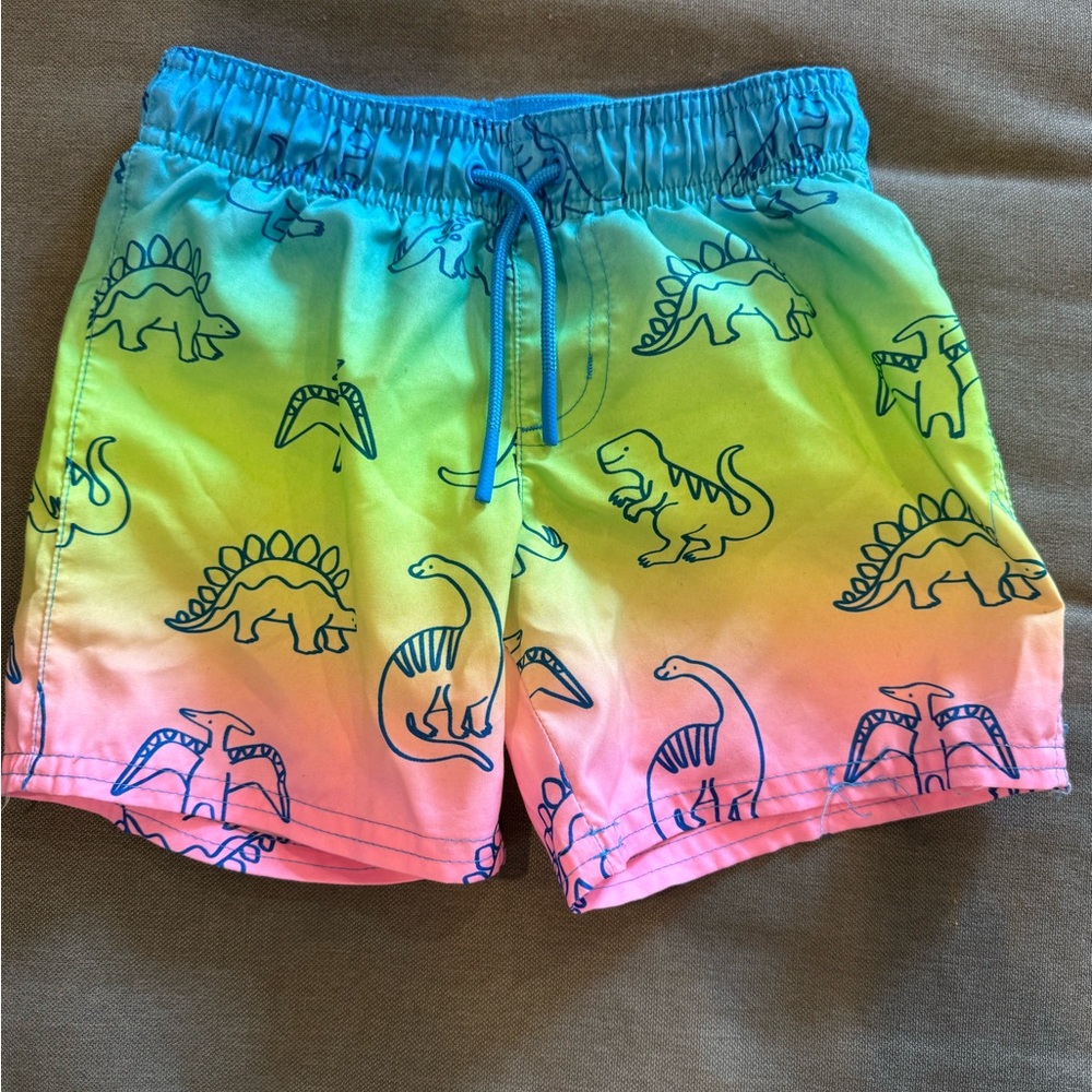 Cat & Jack Kids Swim Trunks - Blue, Green, Pink